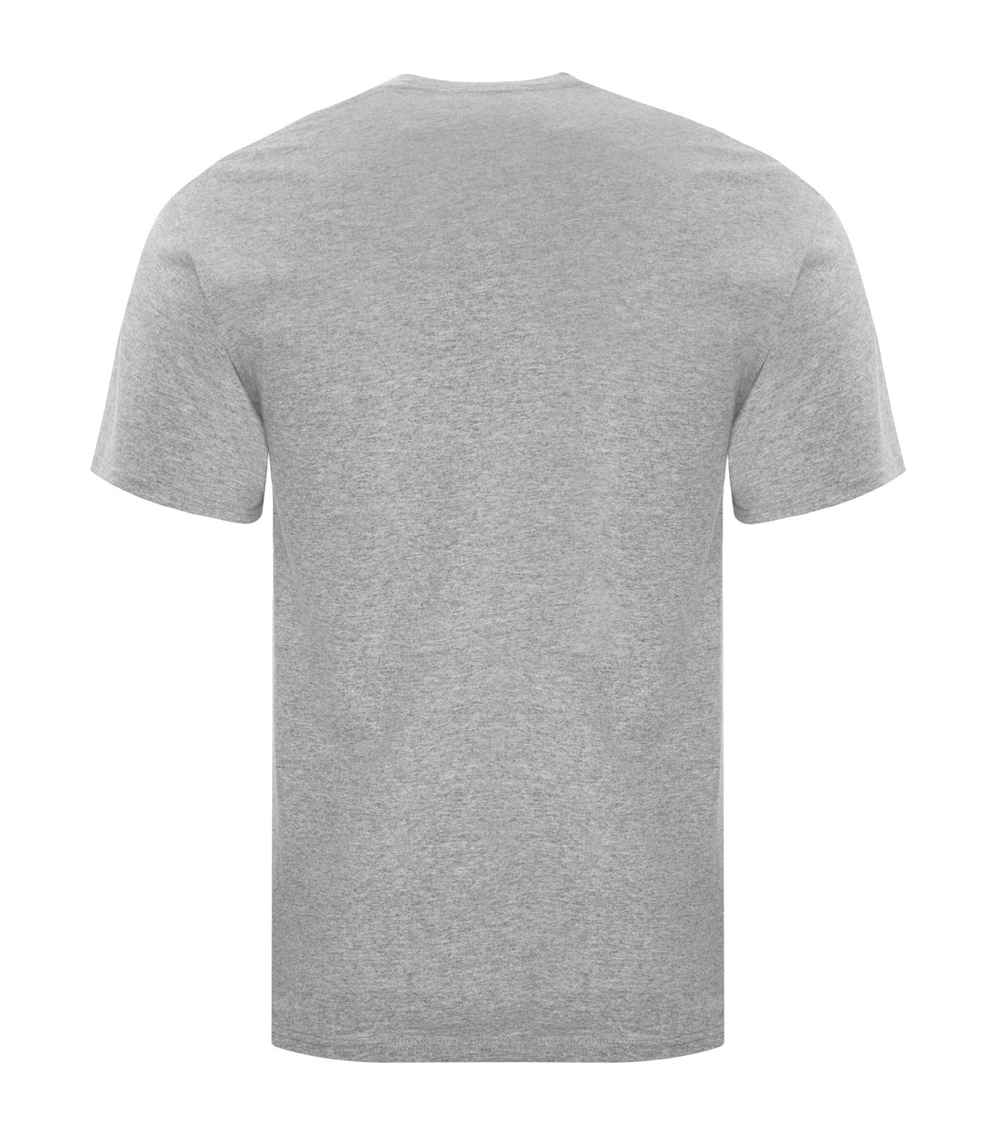 ATC1000 Everyday Round Neck Short Sleeves Unisex T-Shirt (S - 3XL)